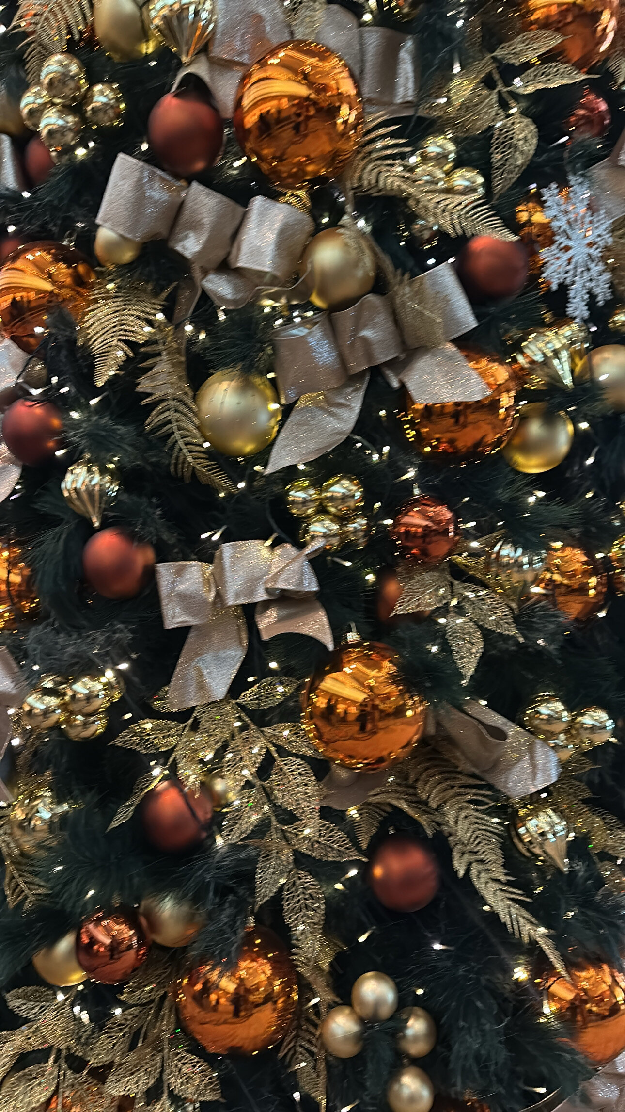 Фото Grand Hyatt Hong Kong