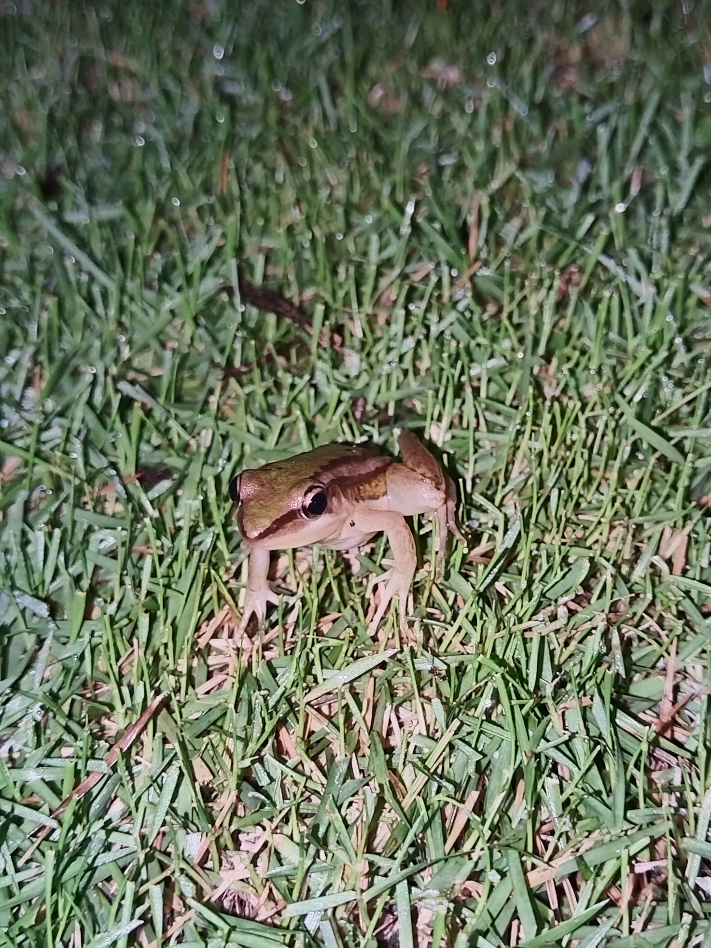 Фото Sailing Club Resort Mui Ne