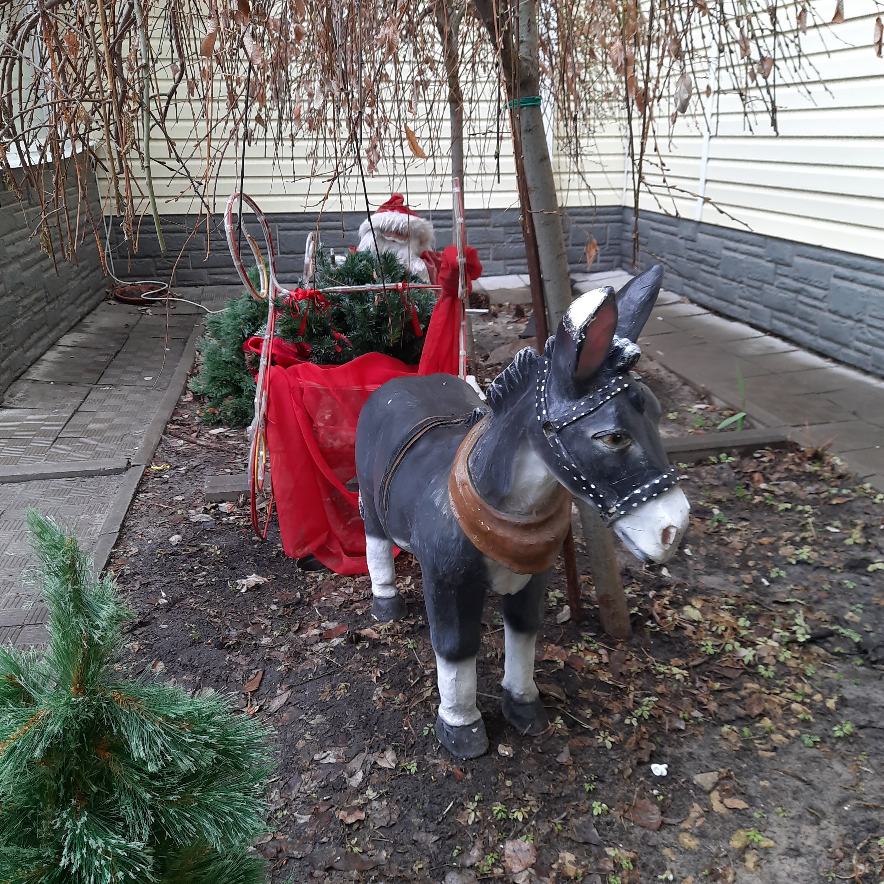 Фото Согдиана