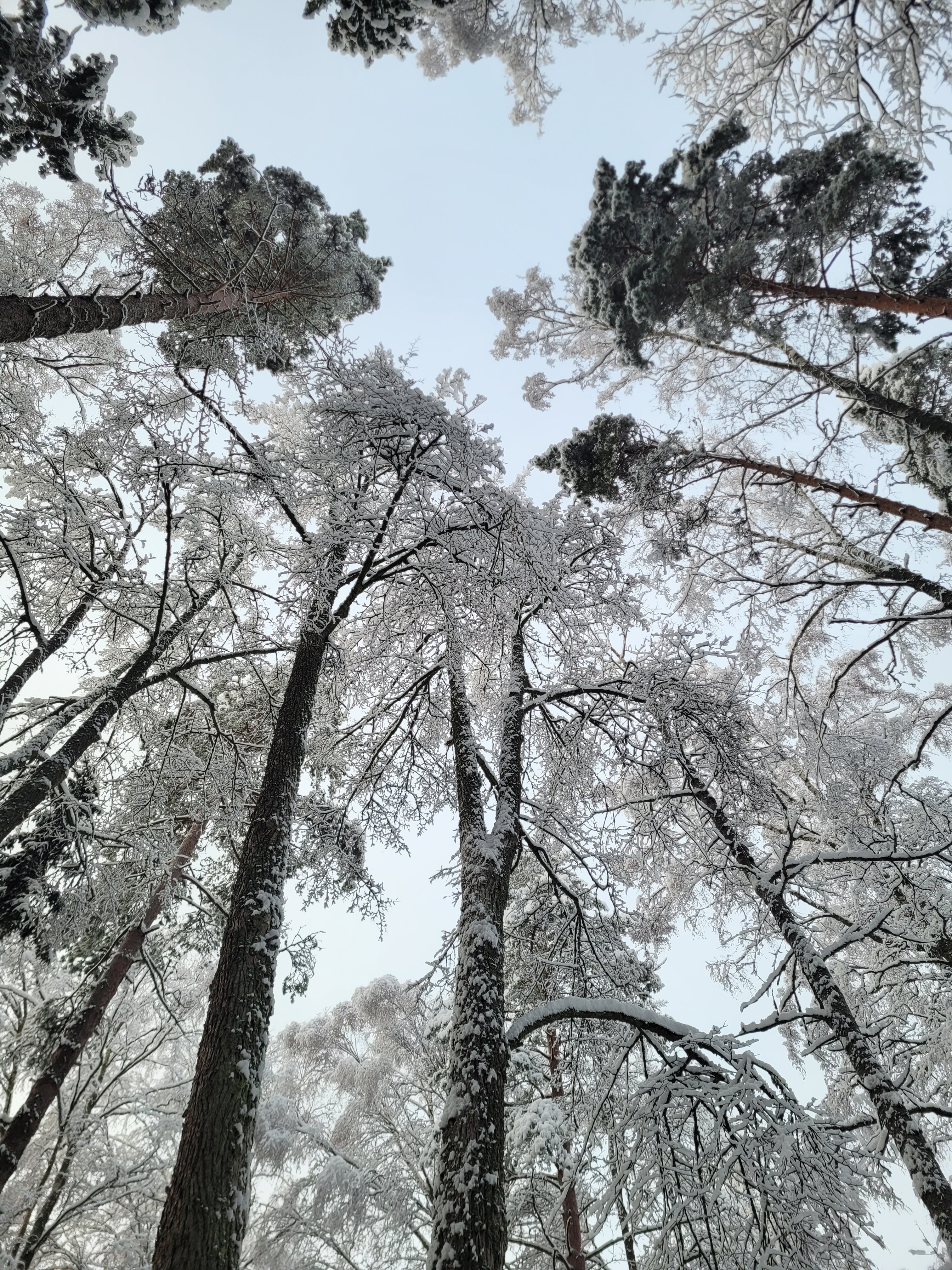 Фото Архитектура здоровья