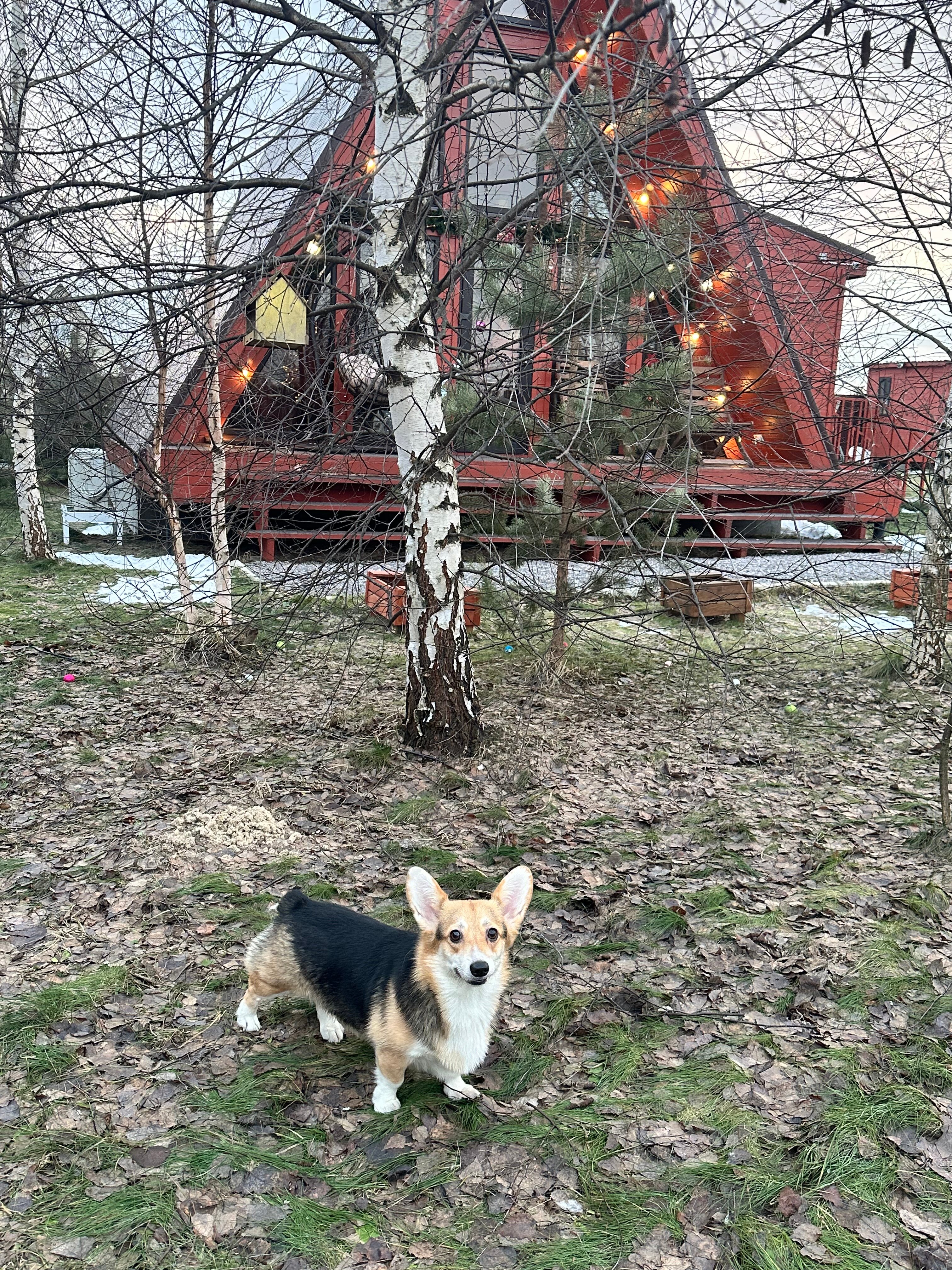 Фото Наш Шалаш