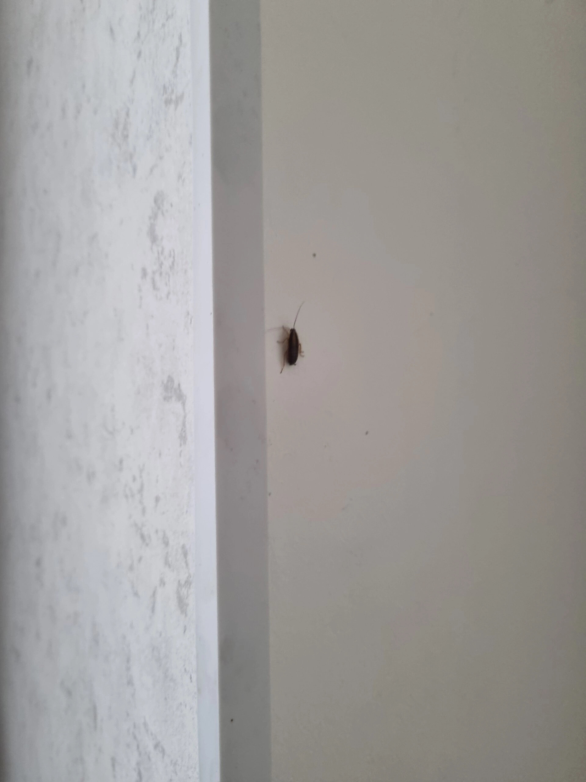 Фото Гостевой дом на Сенной