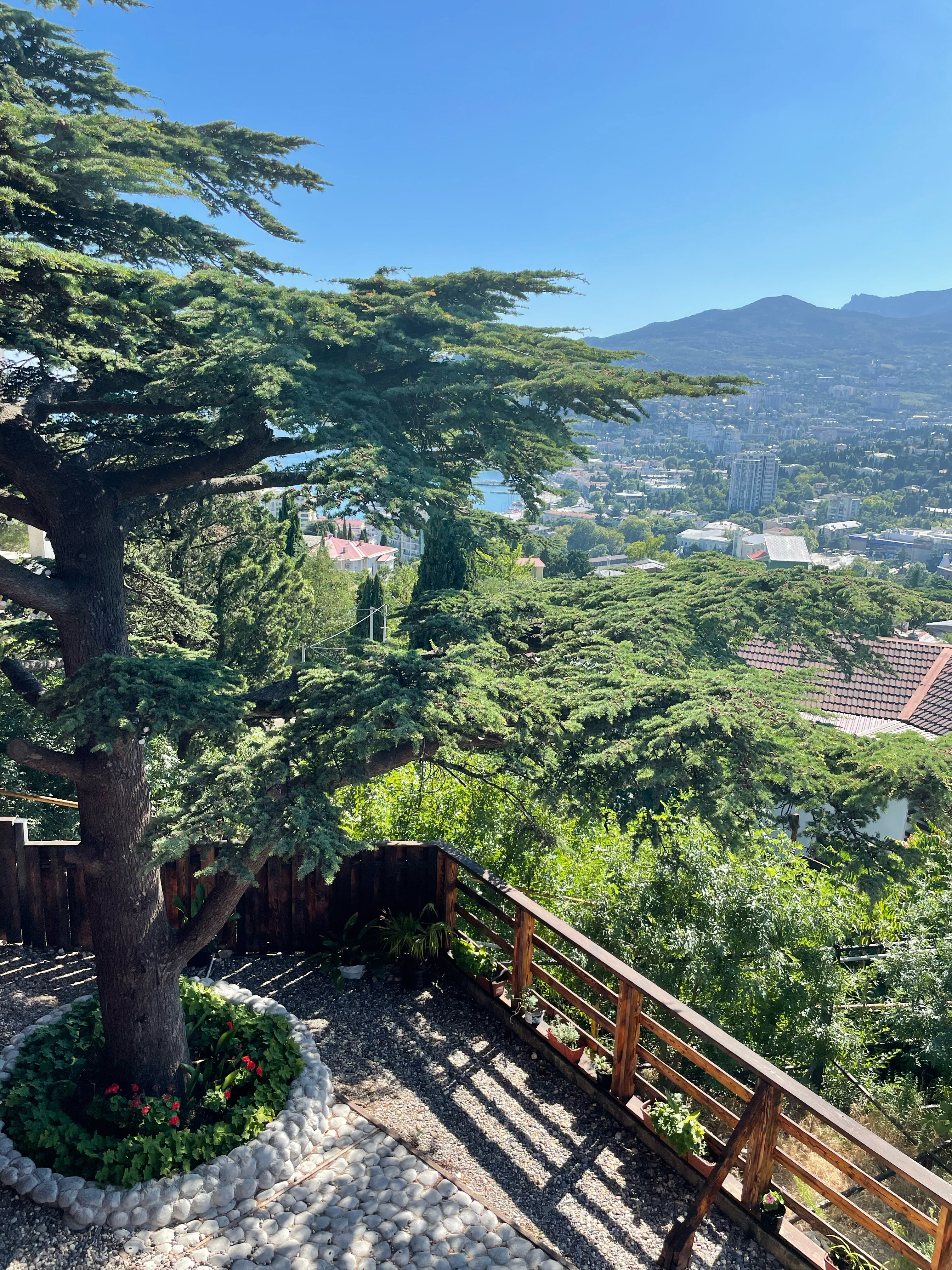 Фото Мистер Тукер