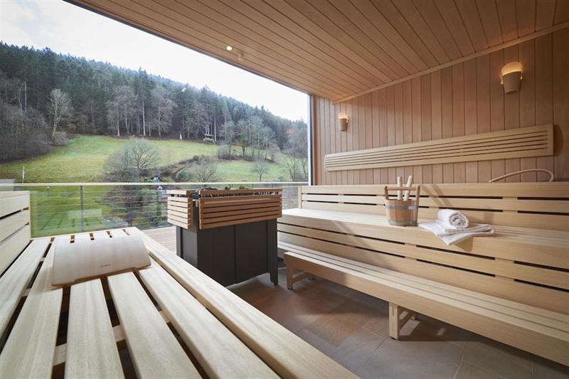 Фото Hotel Therme Bad Teinach