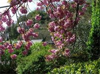 Фото St Vincent Guest House