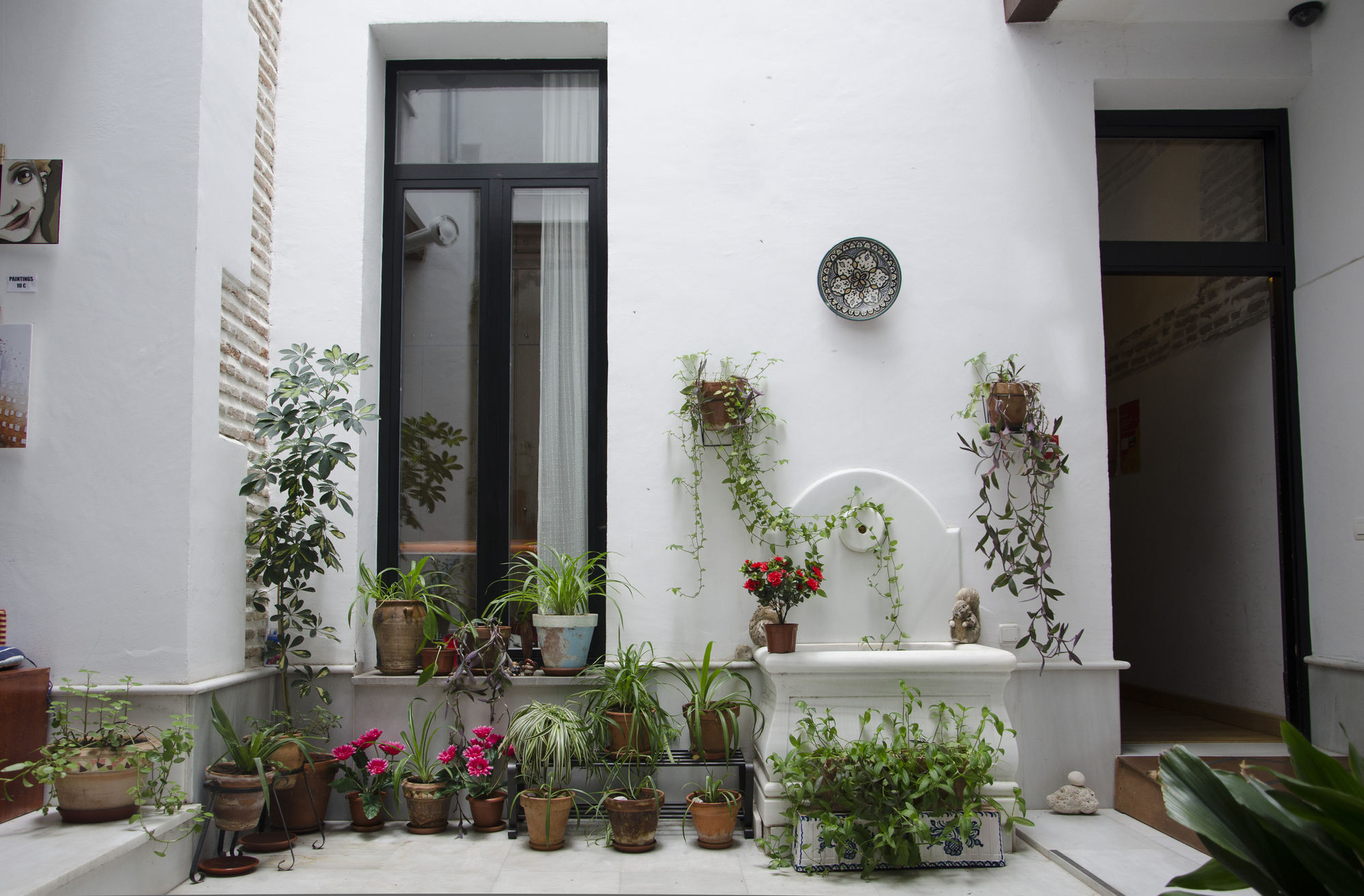 Фото El Granado Hostel