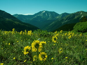 Гостиница Tyrolean Lodge