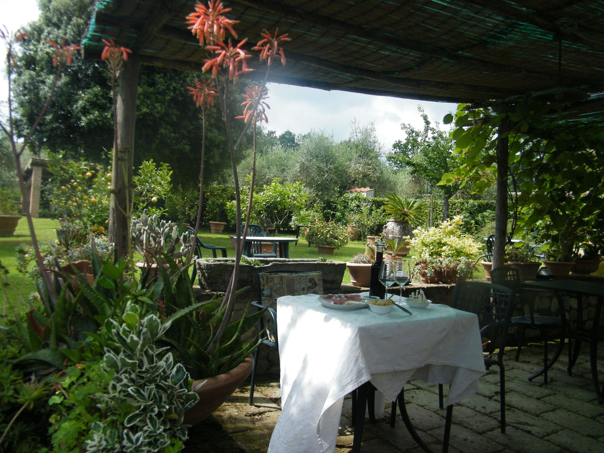 Фото Agriturismo Poggio Alle Lame