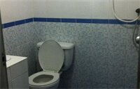 Фото Orchid House