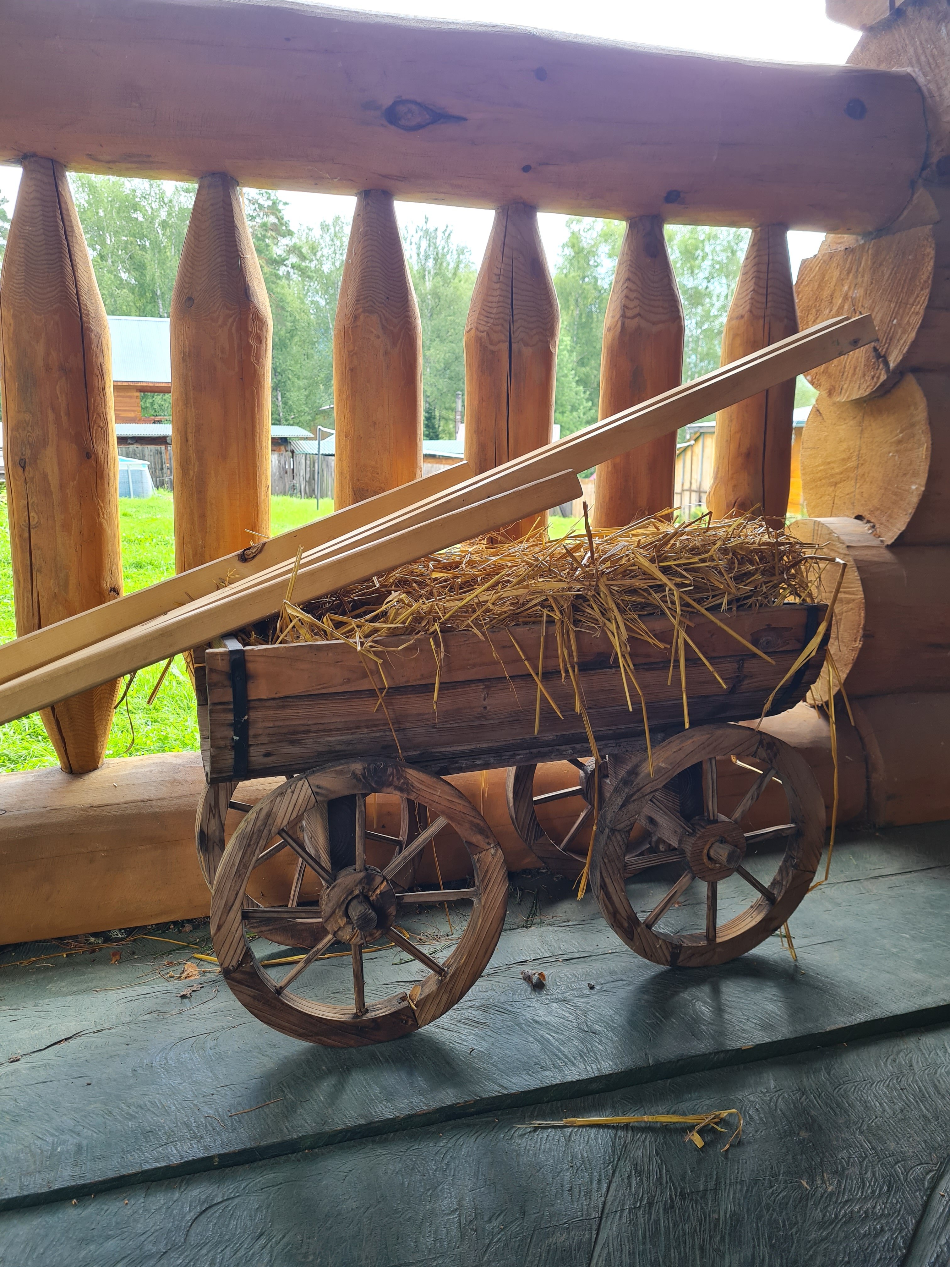 Фото Телецкие Терема