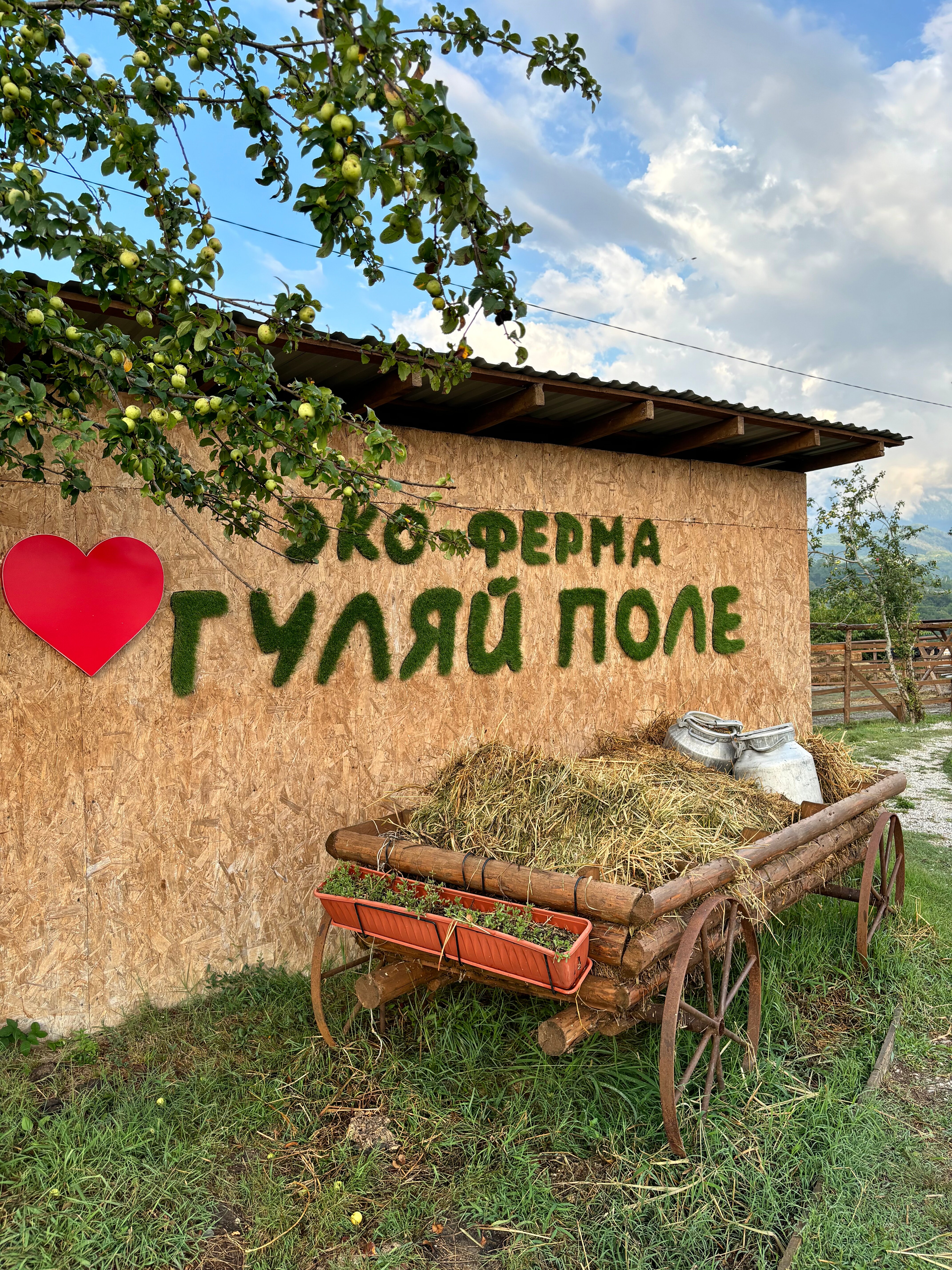 Фото Эко ферма Гуляй Поле