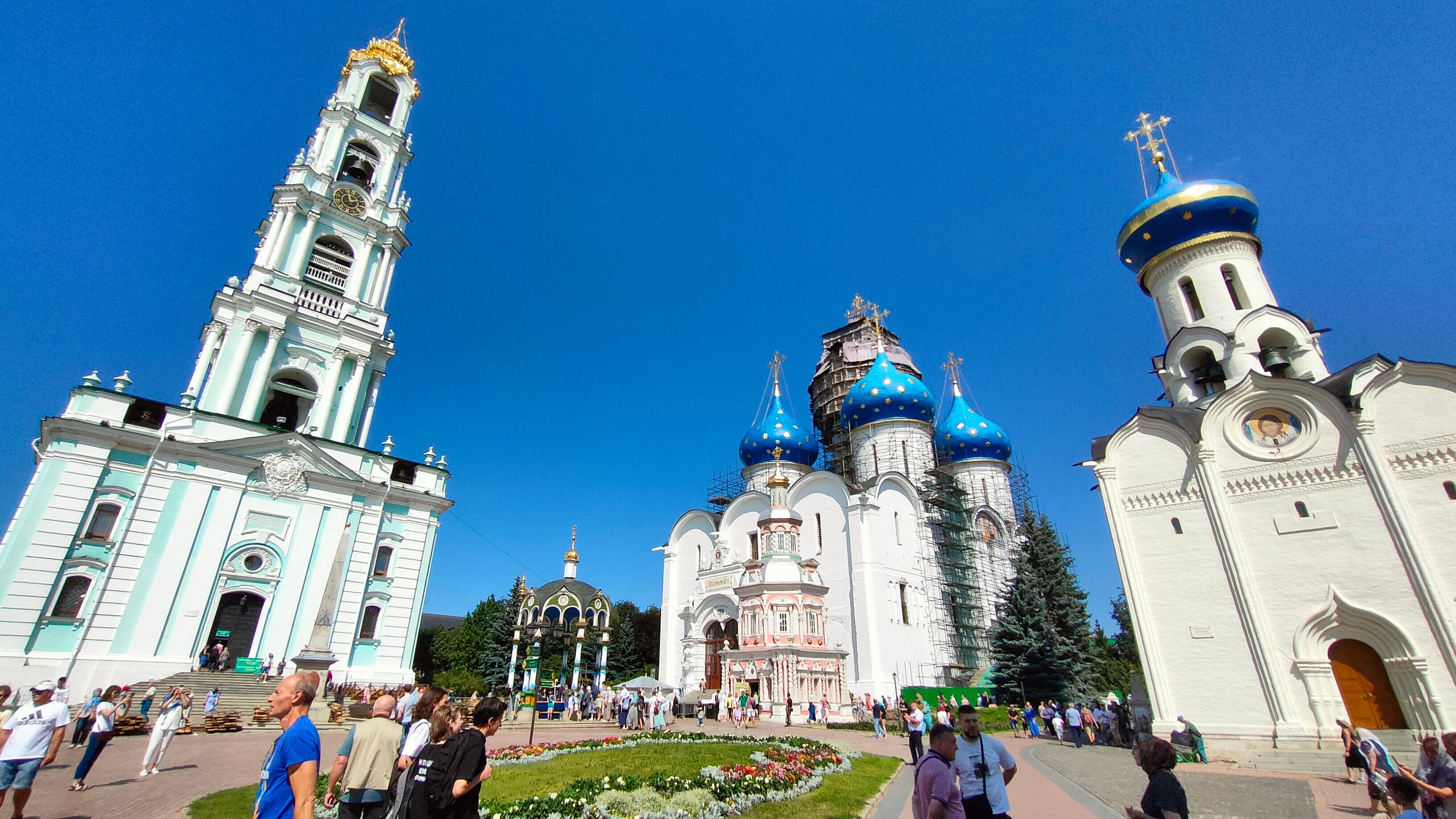 Фото Лесная сказка