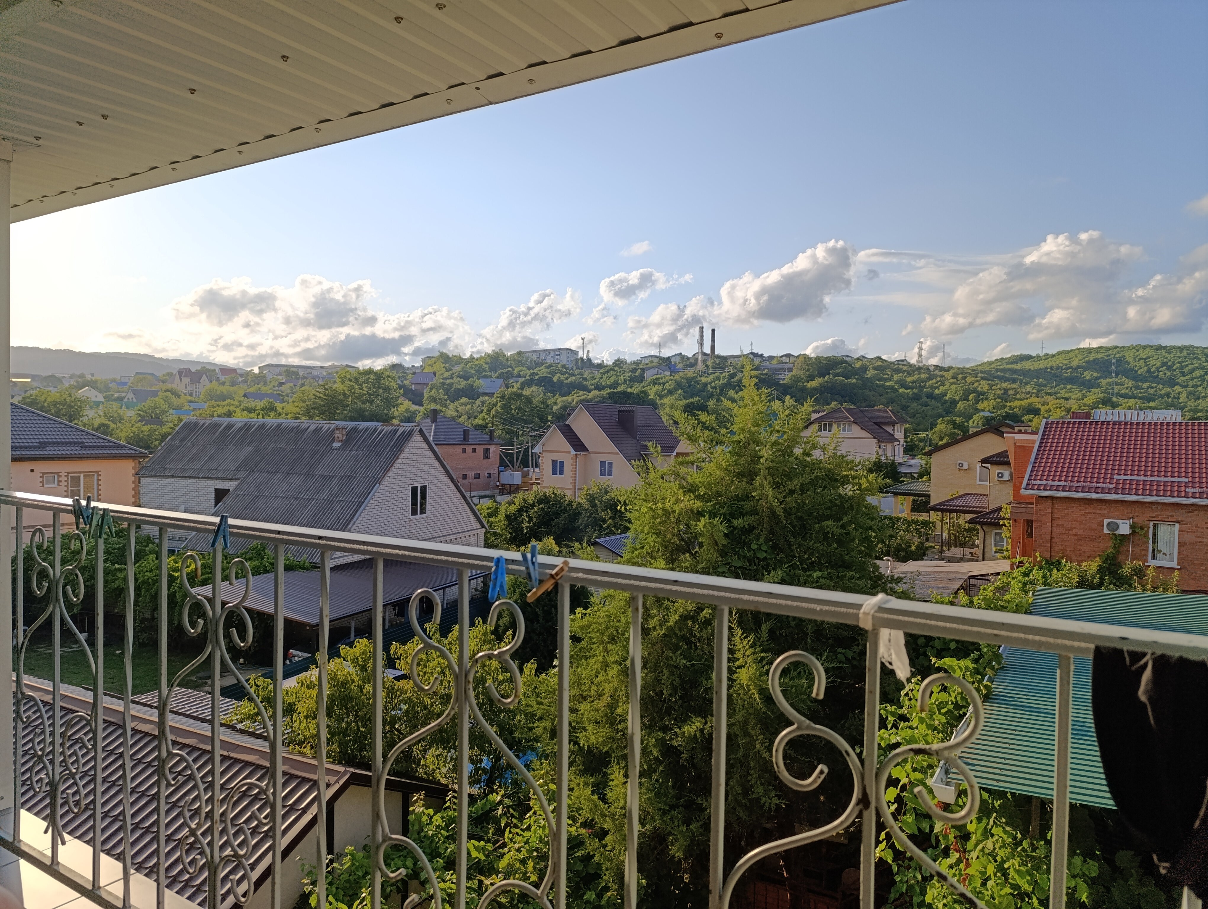 Фото Серебристая Чайка