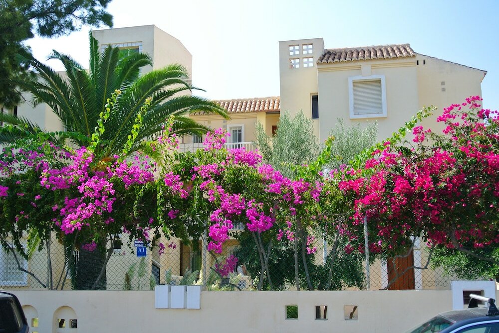 Фото Apartamentos Moguima