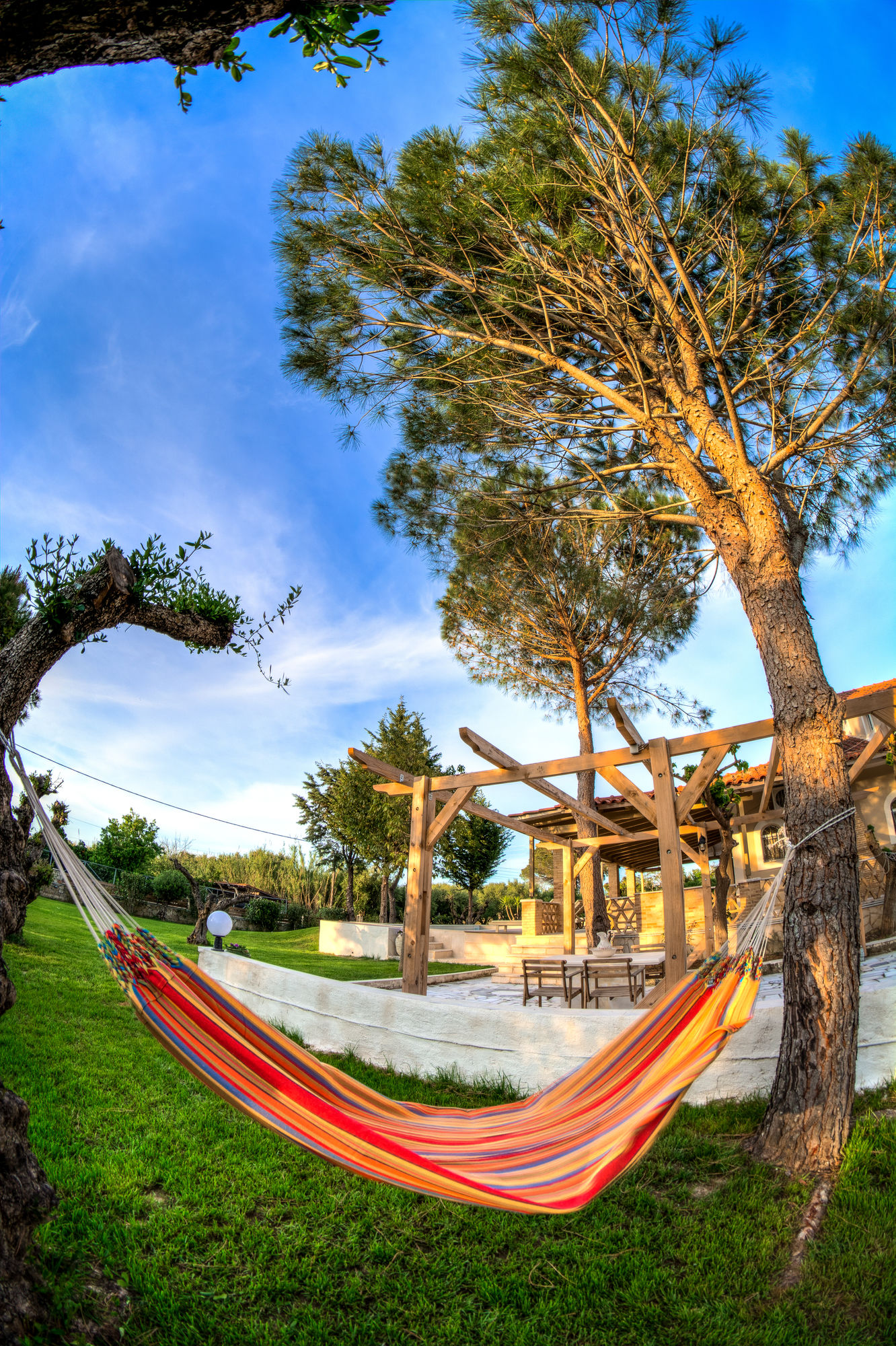 Фото Luxury Dream Villa