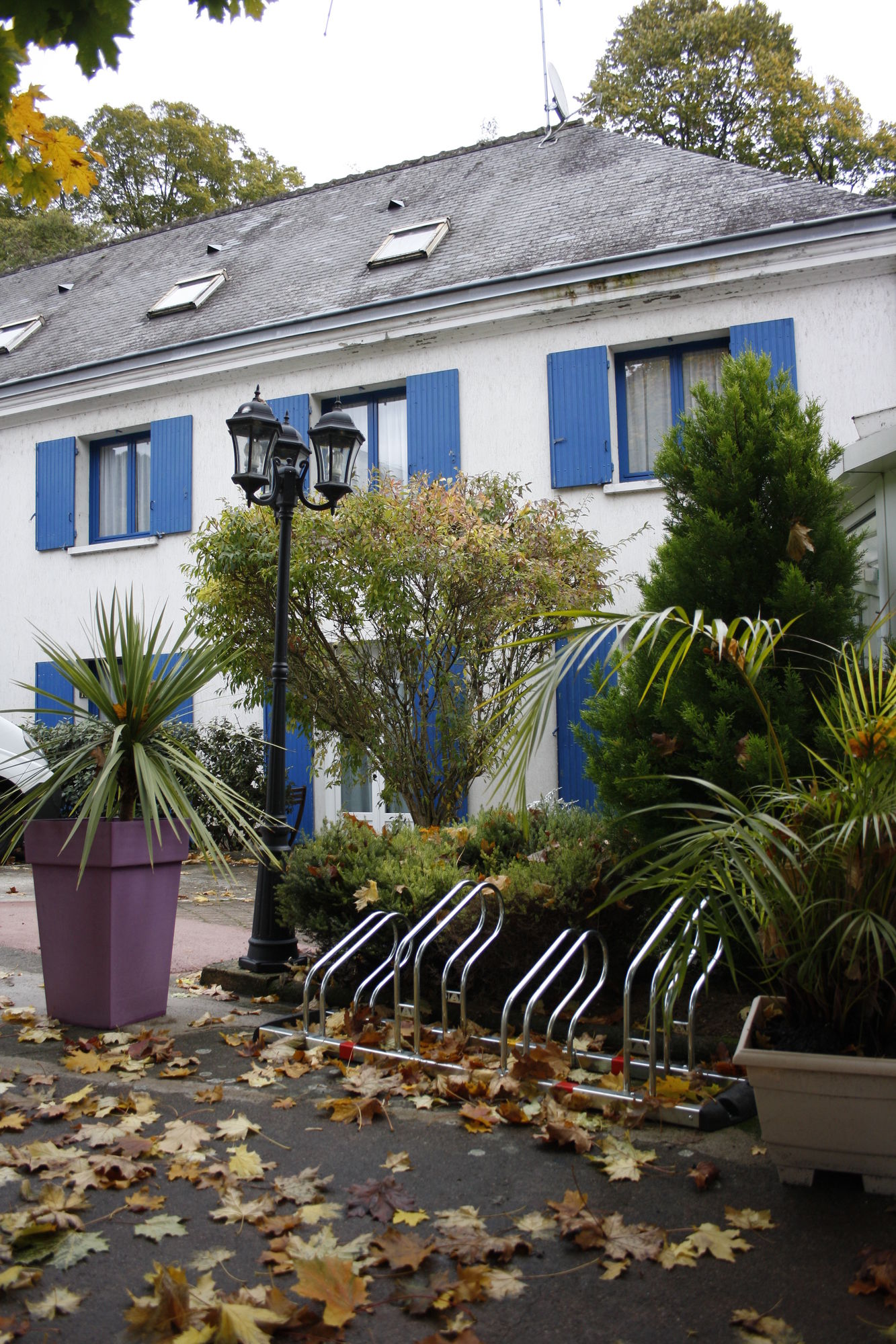 Фото Hotel Le Castel Fleuri