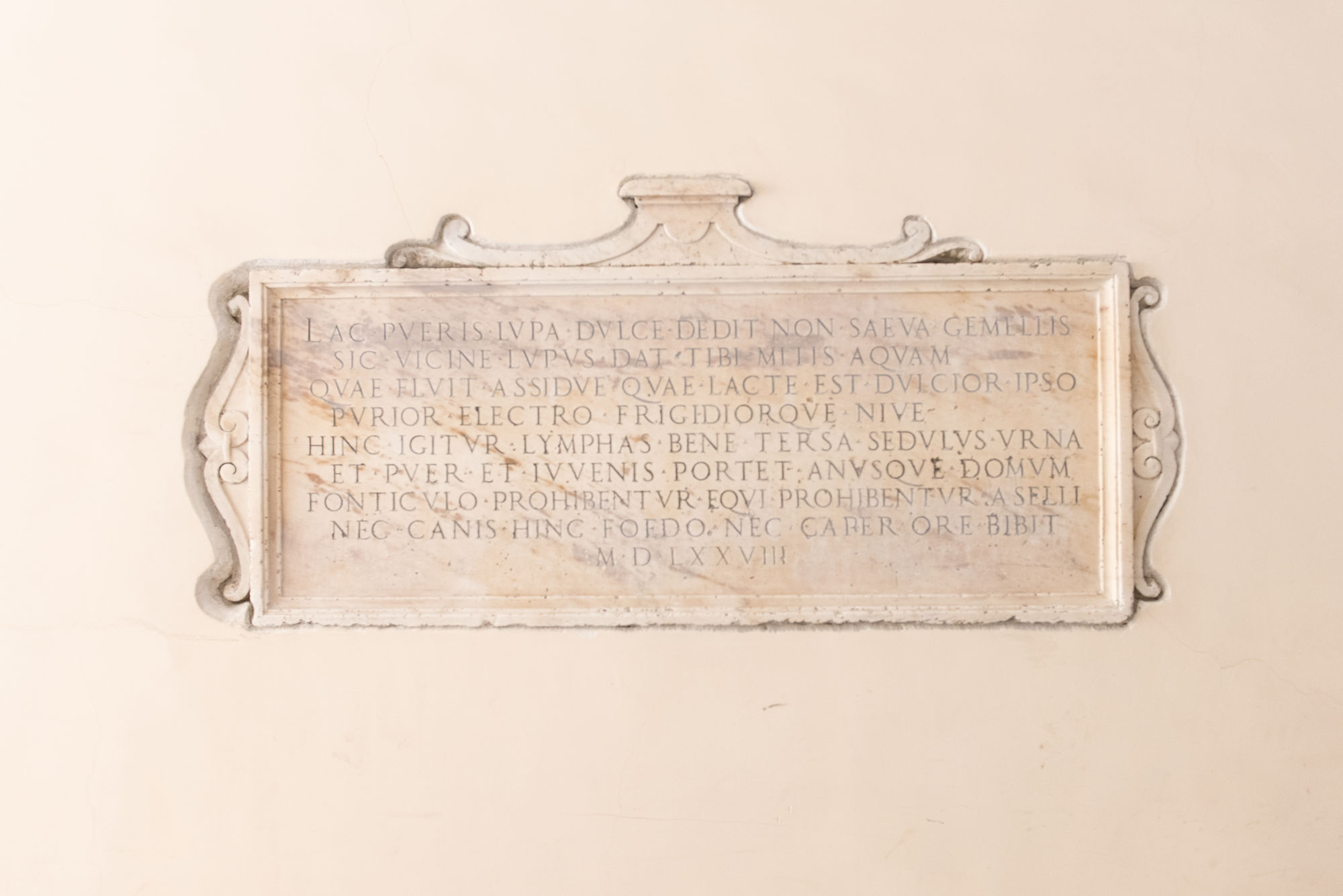 Фото Domus Capilupi