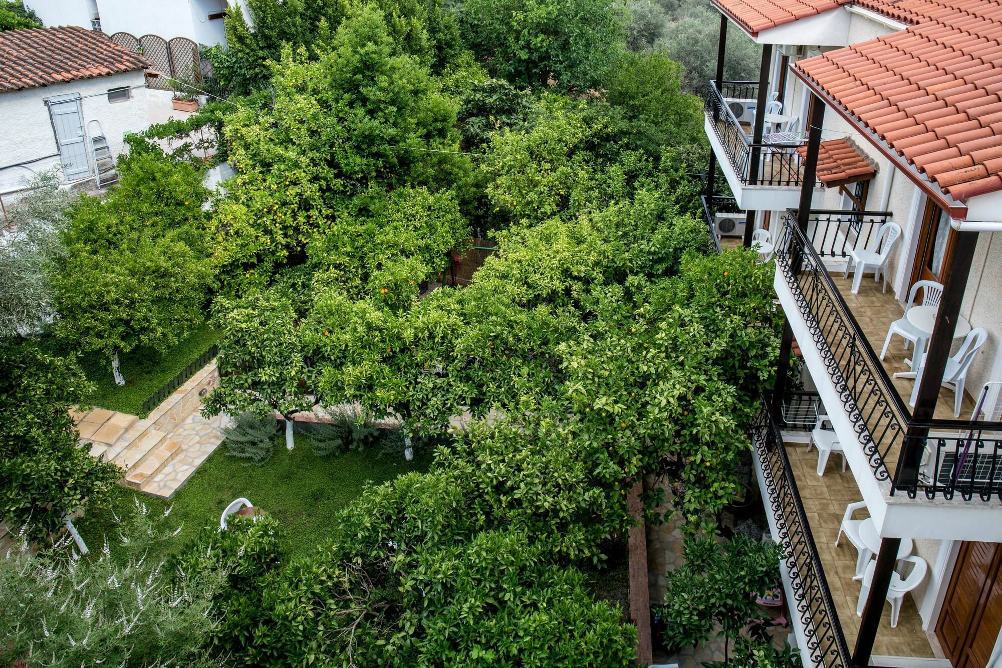 Фото Oasis Apartments