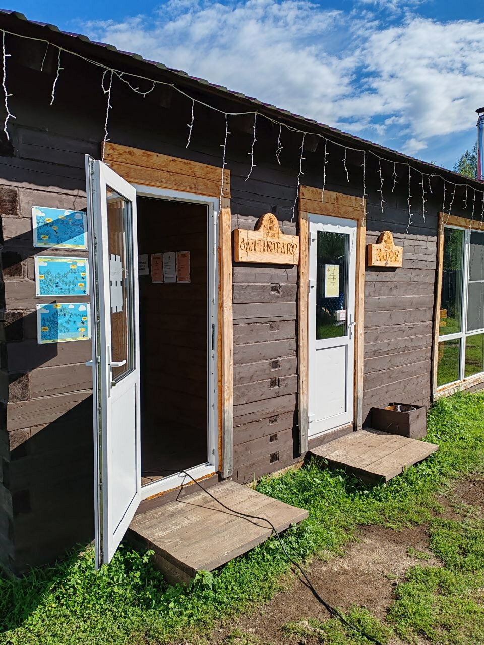 Фото Медная Сова