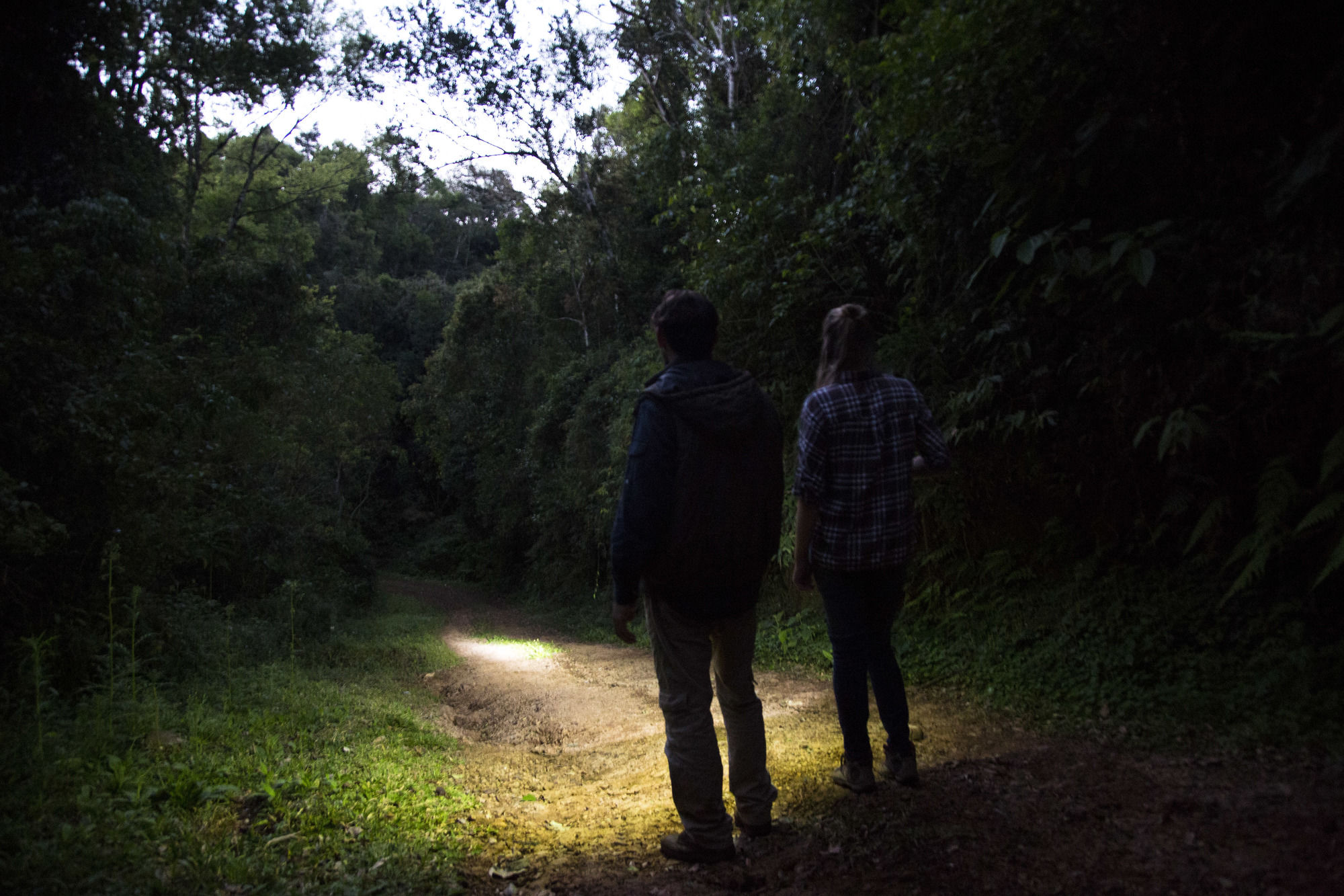 Фото Mocona Virgin Lodge