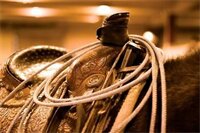 Фото Sheraton Fort Worth Downtown Hotel