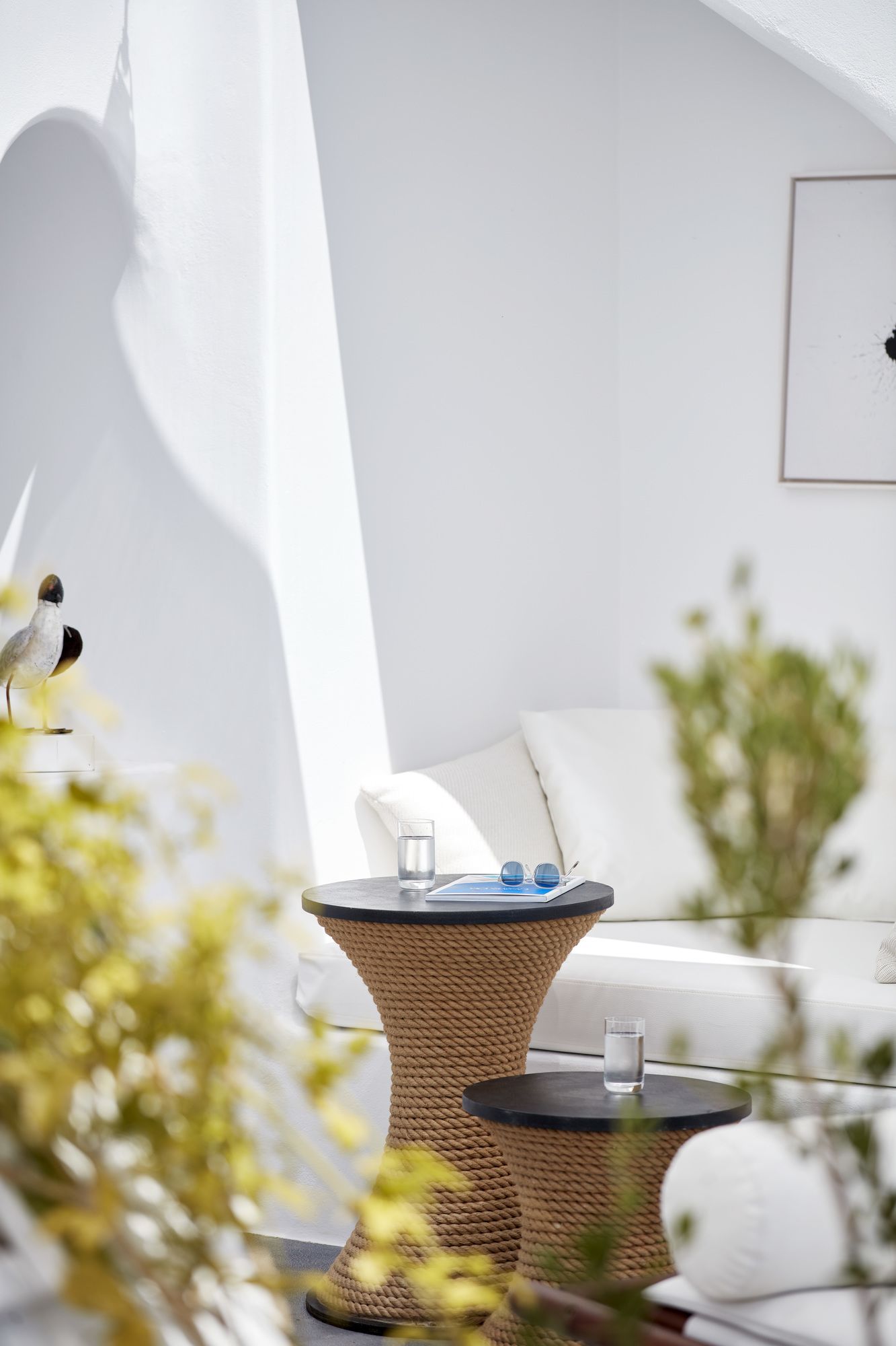 Фото Canaves Sunday