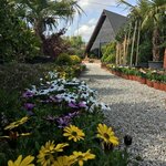 Nova Peyzaj (Çorum, Çorum Merkez, Bahçelievler Mah.), landscape design