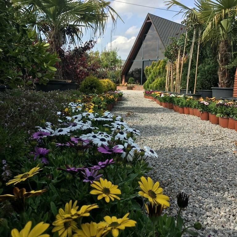 Landscape design Nova Peyzaj, Corum, photo