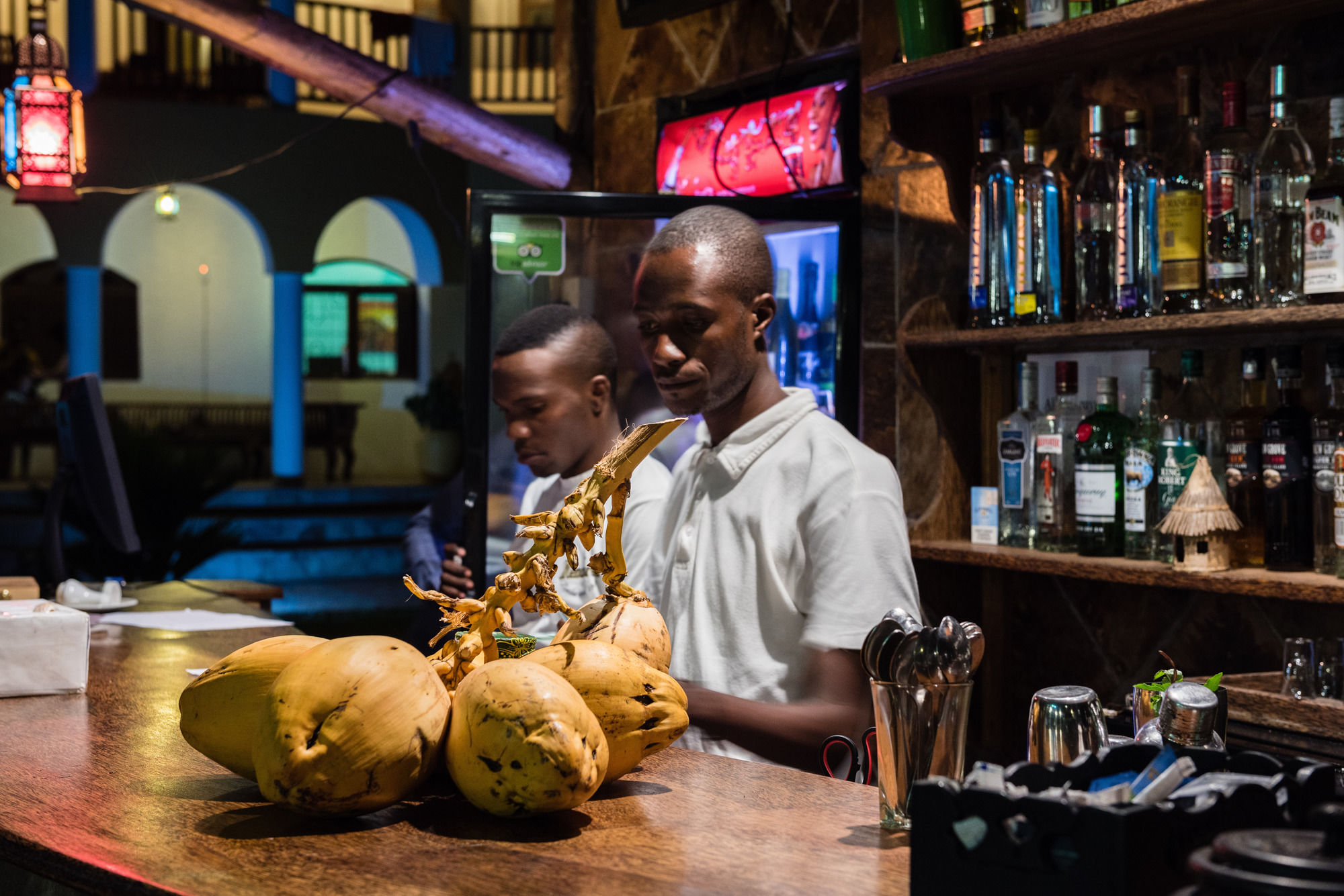 Фото Zan View Hotel