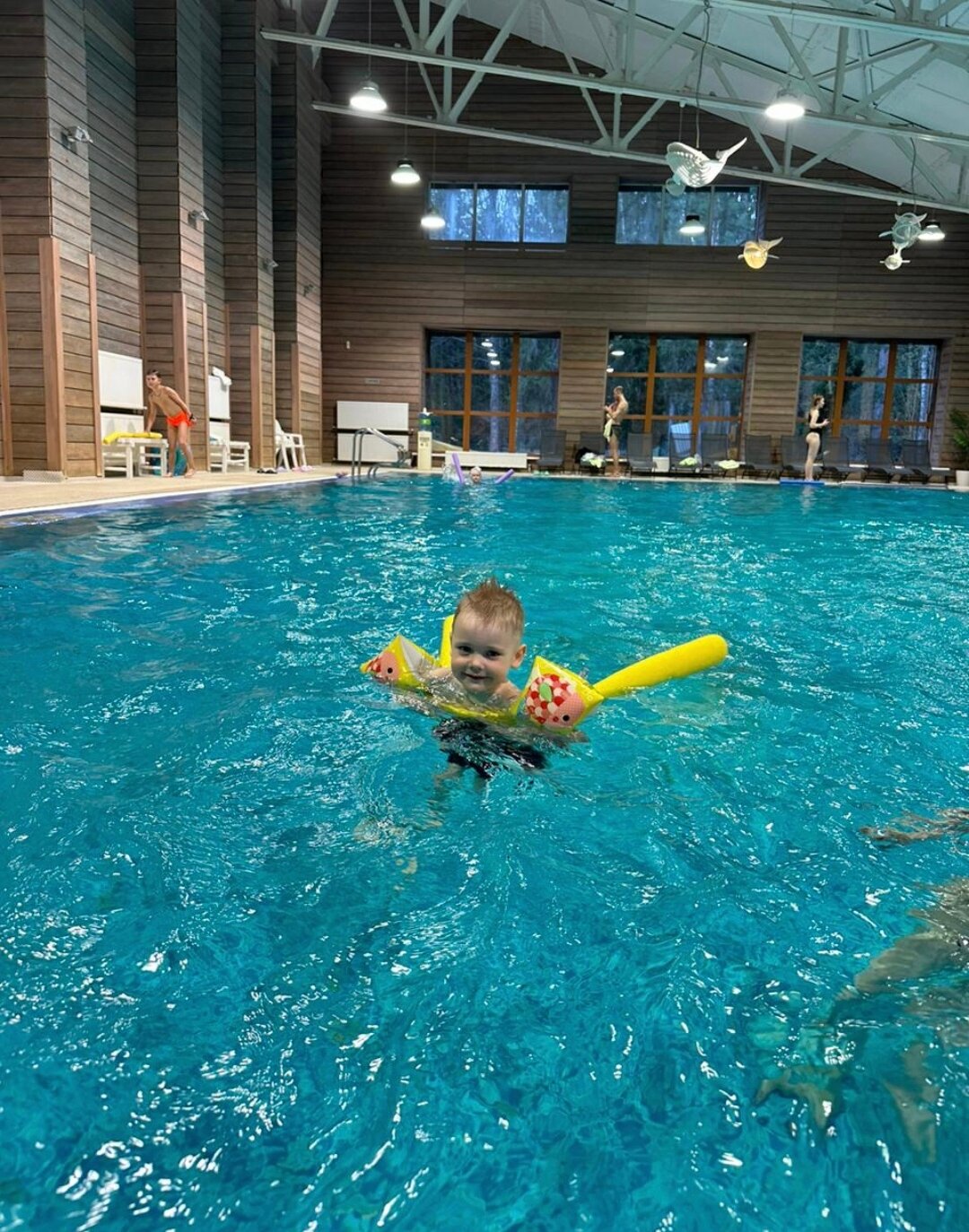 Фото Романов лес