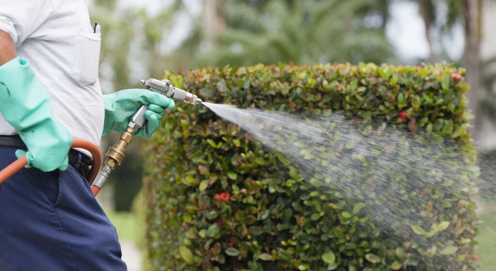 Car service, auto repair Biotem Kurumsal Hizmetler, Ankara, photo