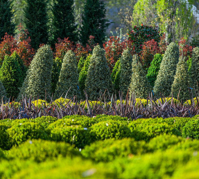 Landscape design Karaoglu Landscape Architecture Engineering, Istanbul, photo