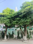 Jama Masjid Al Sheikh Dar Ul Shifa (Street 15, 12), mosque