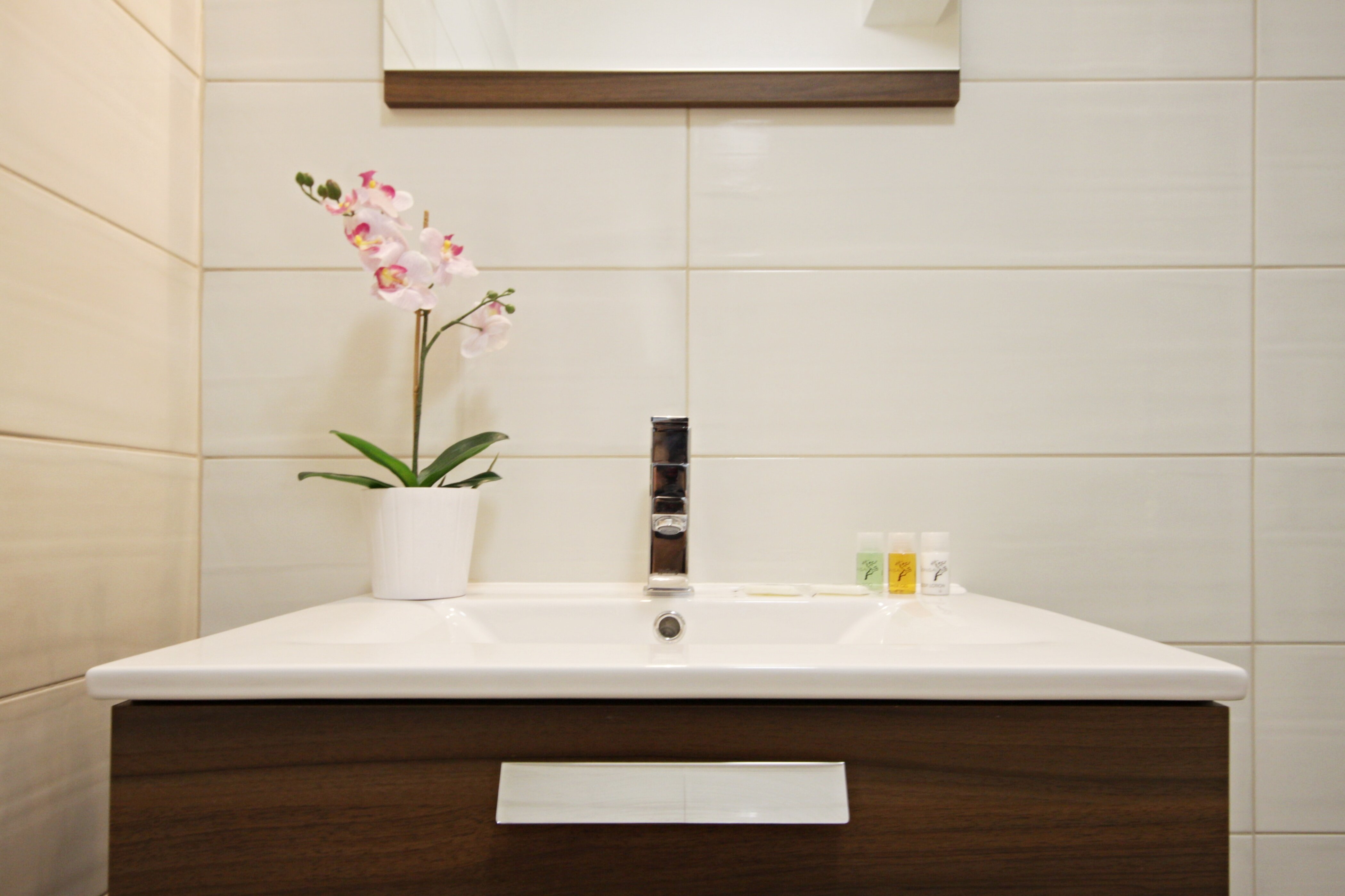 Фото Alveo Suites