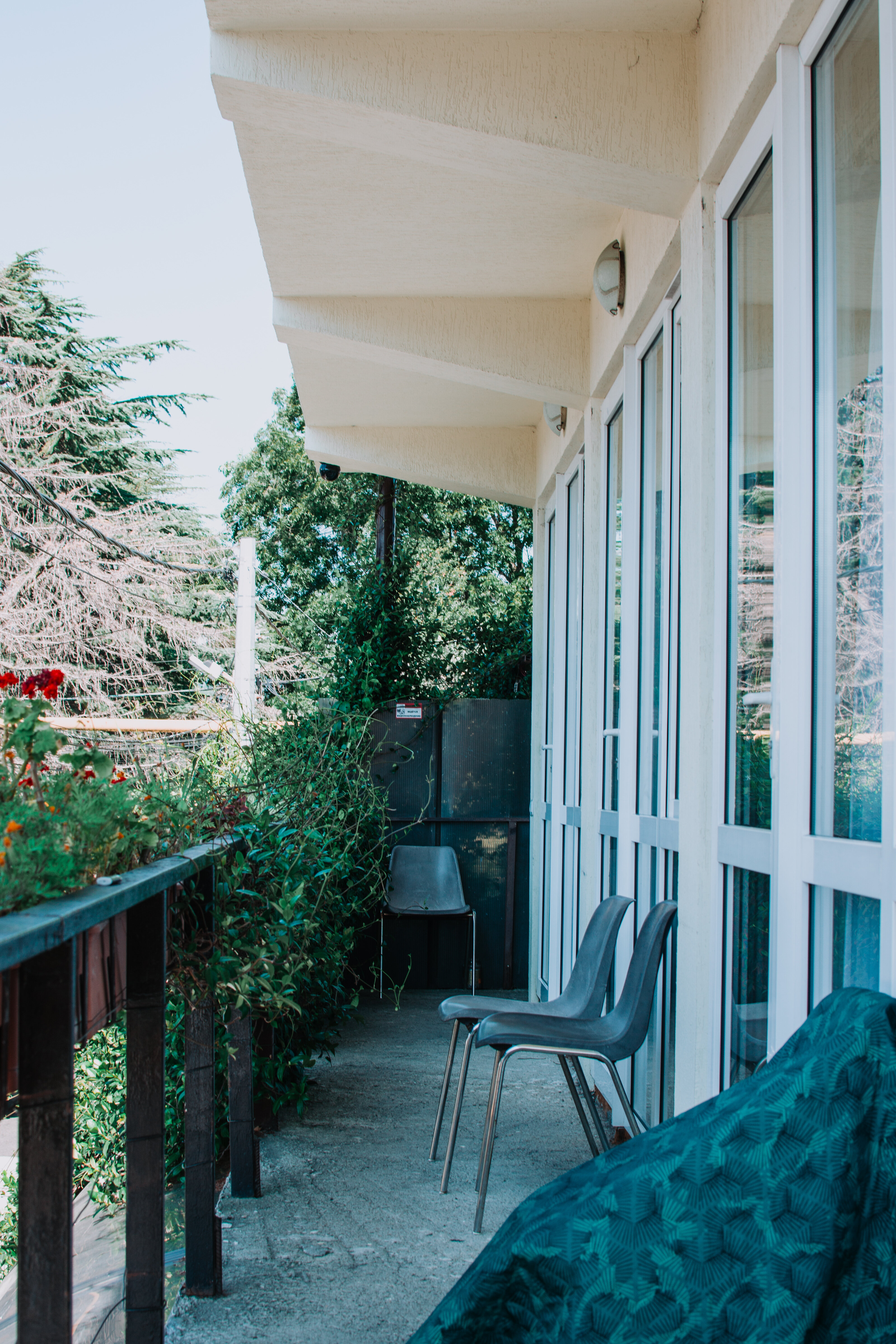 Фото Диковинка Сочи