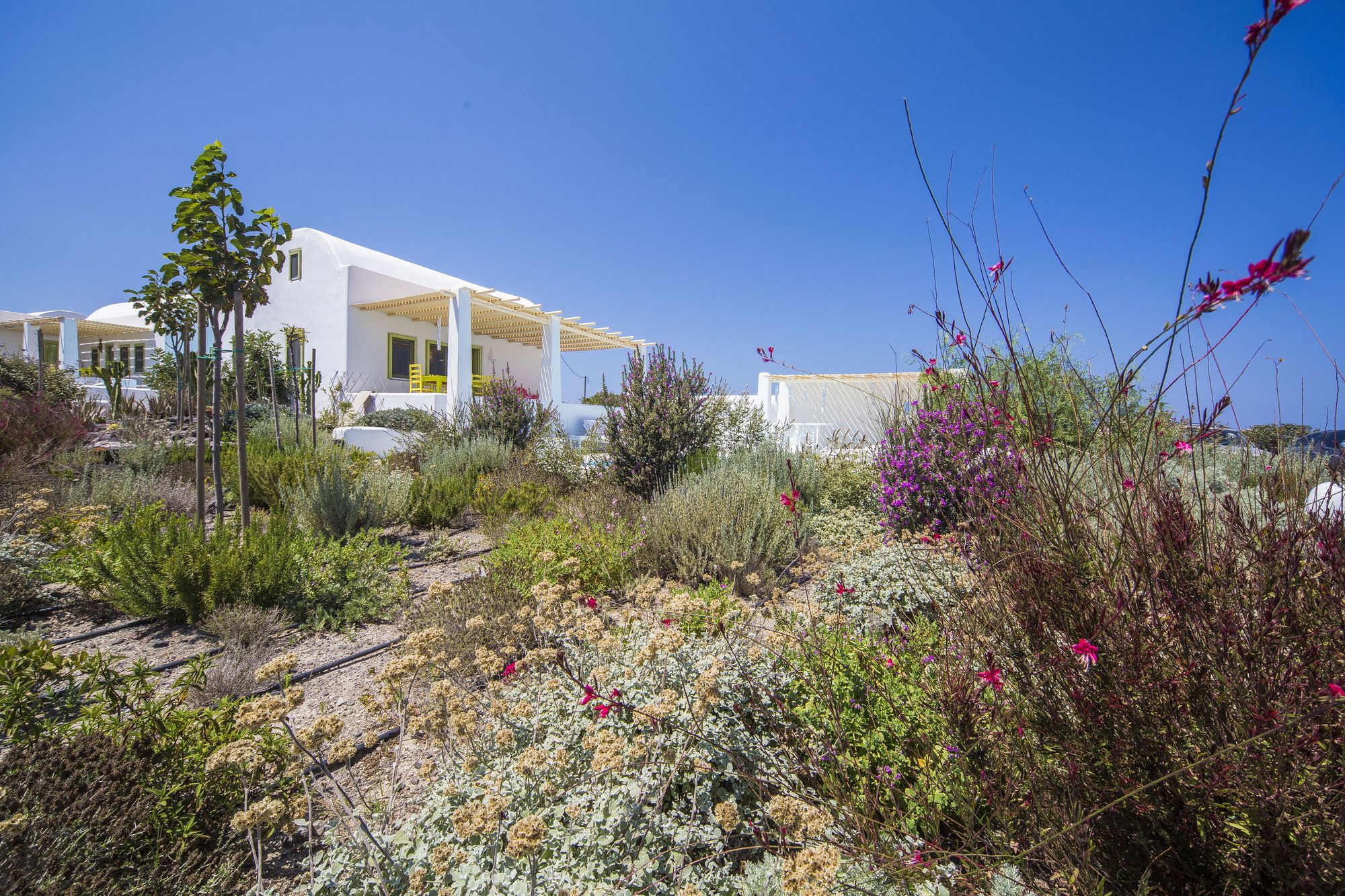 Фото Villa Agrikoia