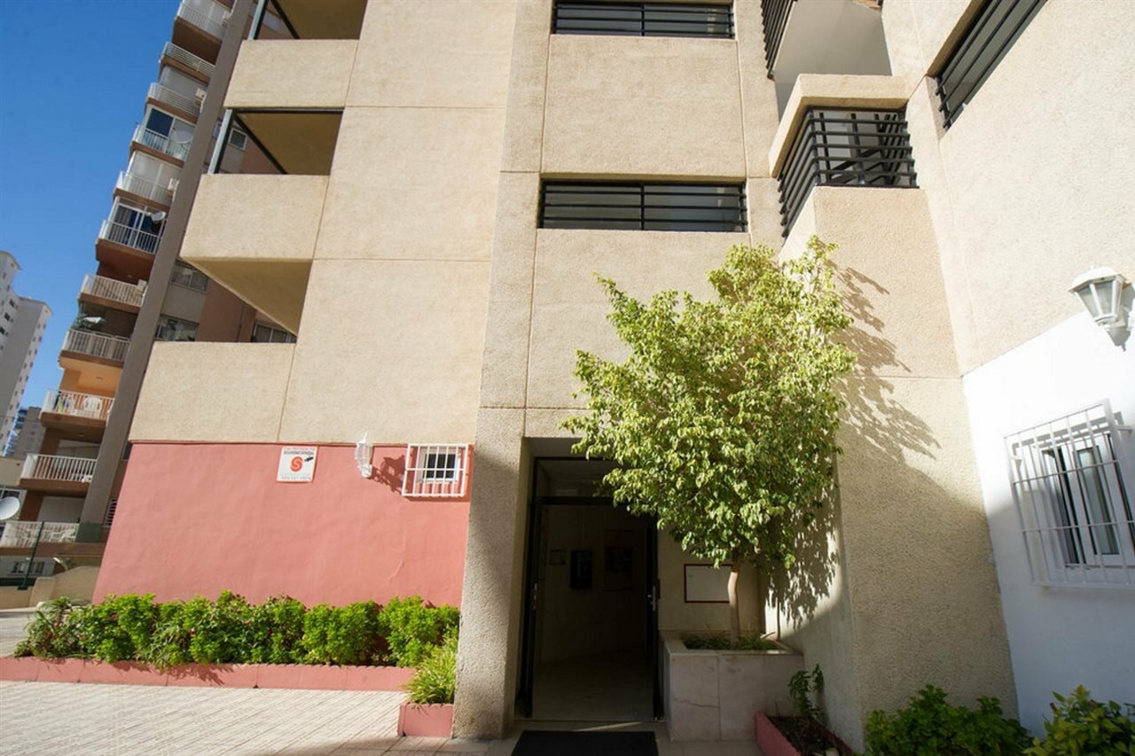 Фото Apartamentos Dynastic Rooms