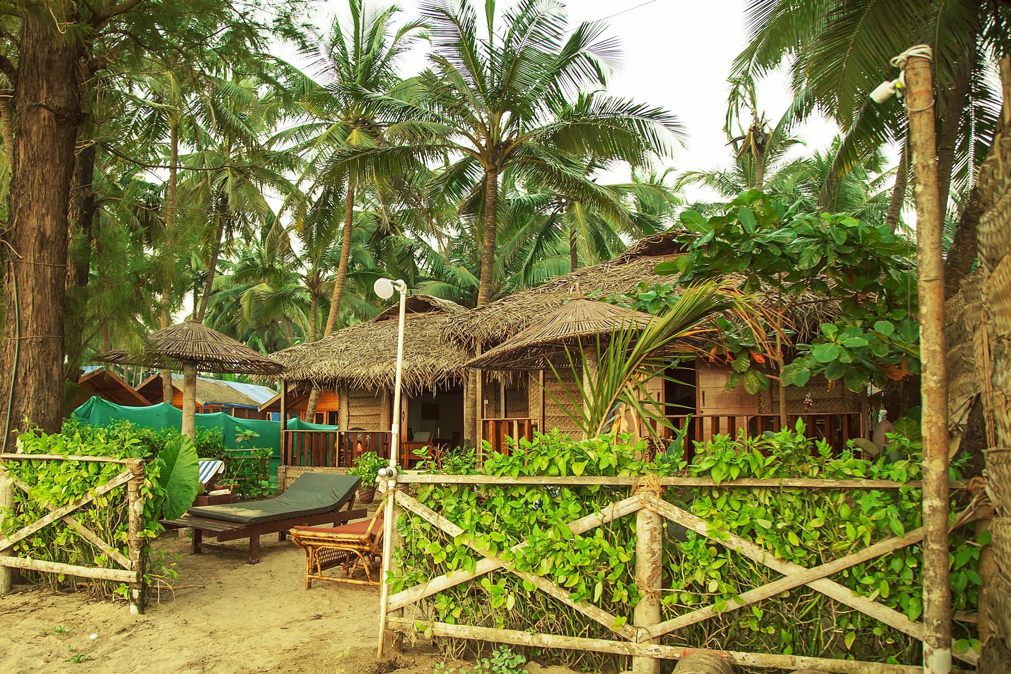 Фото Mariposa Beach Grove