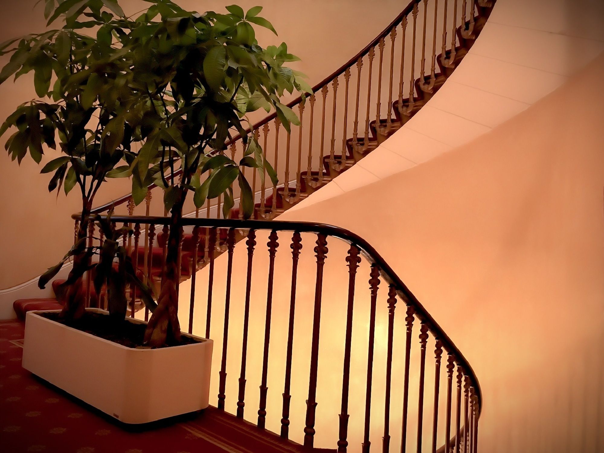 Фото The Diplomat Hotel