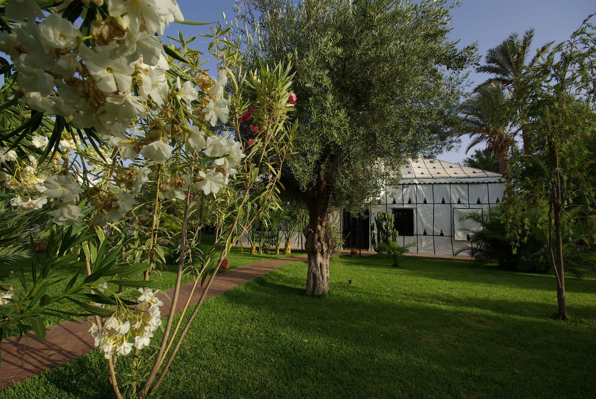 Фото Lodge K Hôtel & SPA