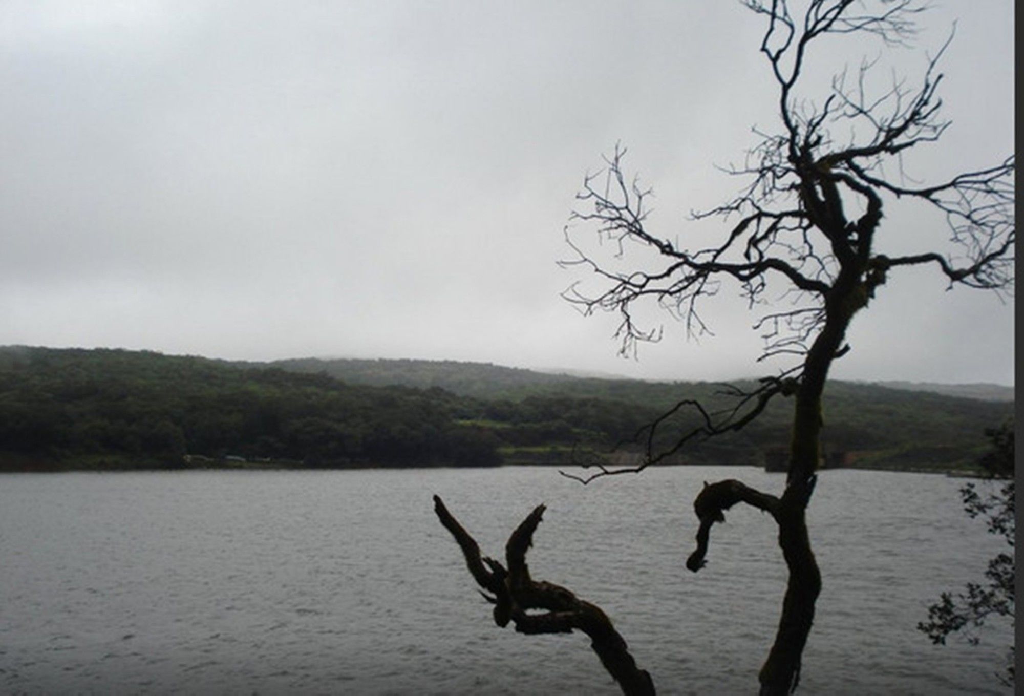 Фото Regenta Mpg Club