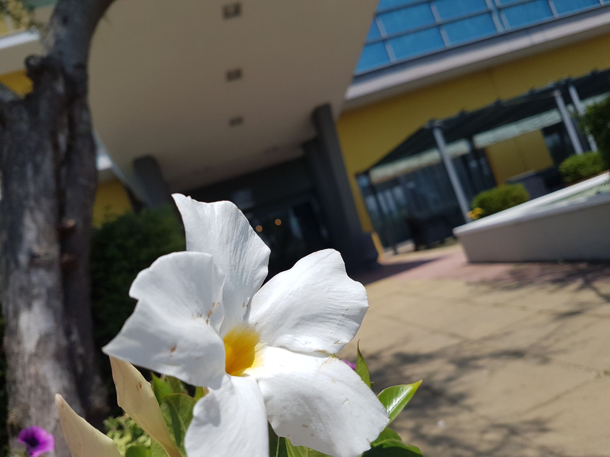 Фото Best Western Hotel Class