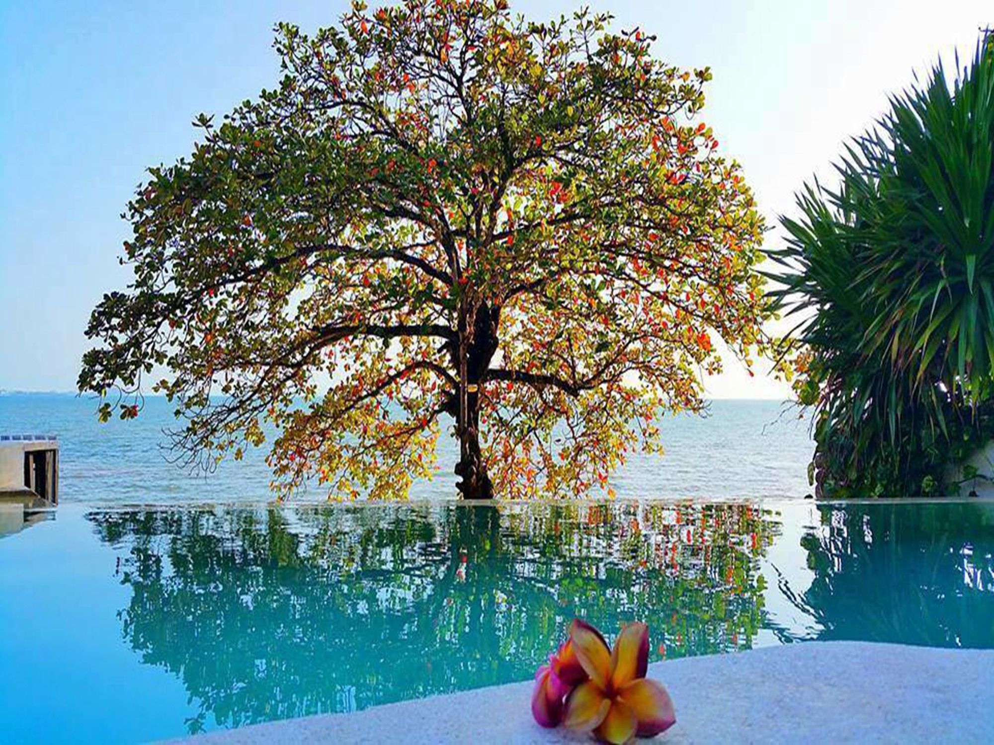 Фото Saravoan Hotel Kep