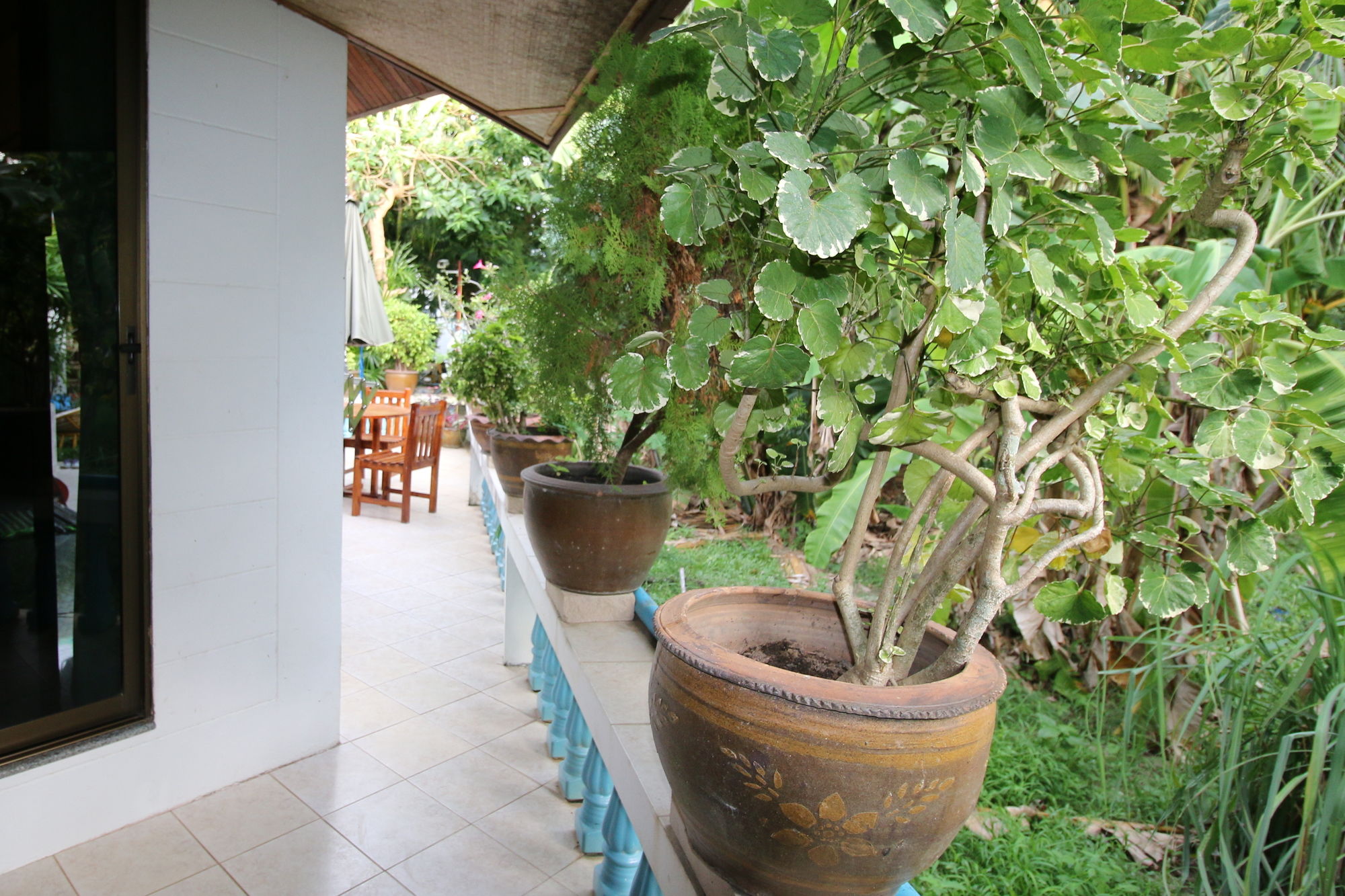 Фото Ya Nui Resort