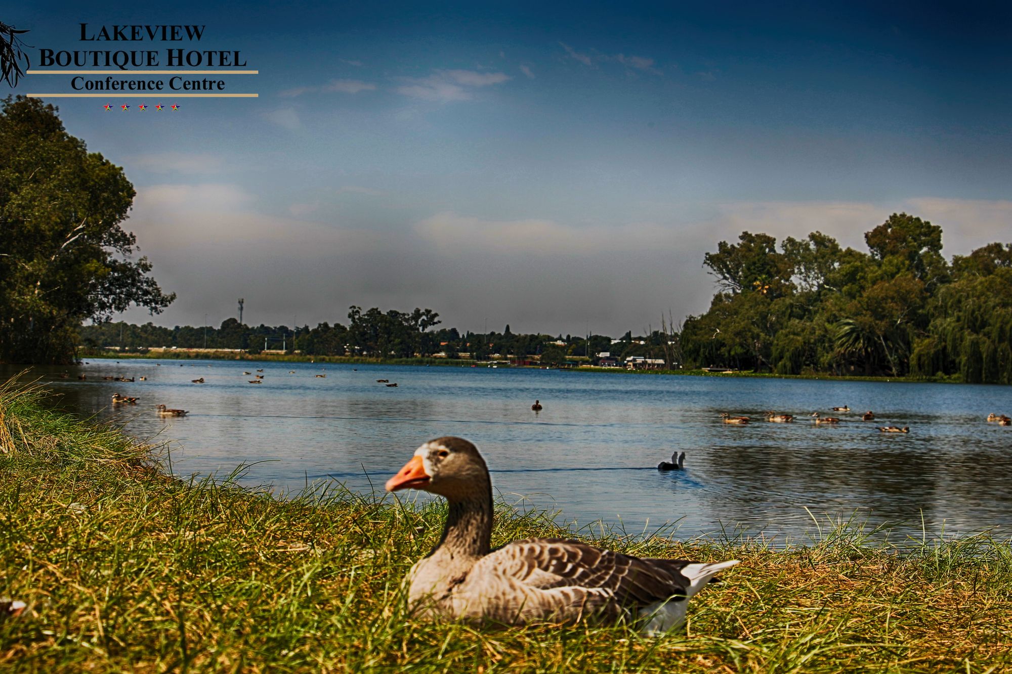 Фото Lakeview Boutique Hotel & Conference Center