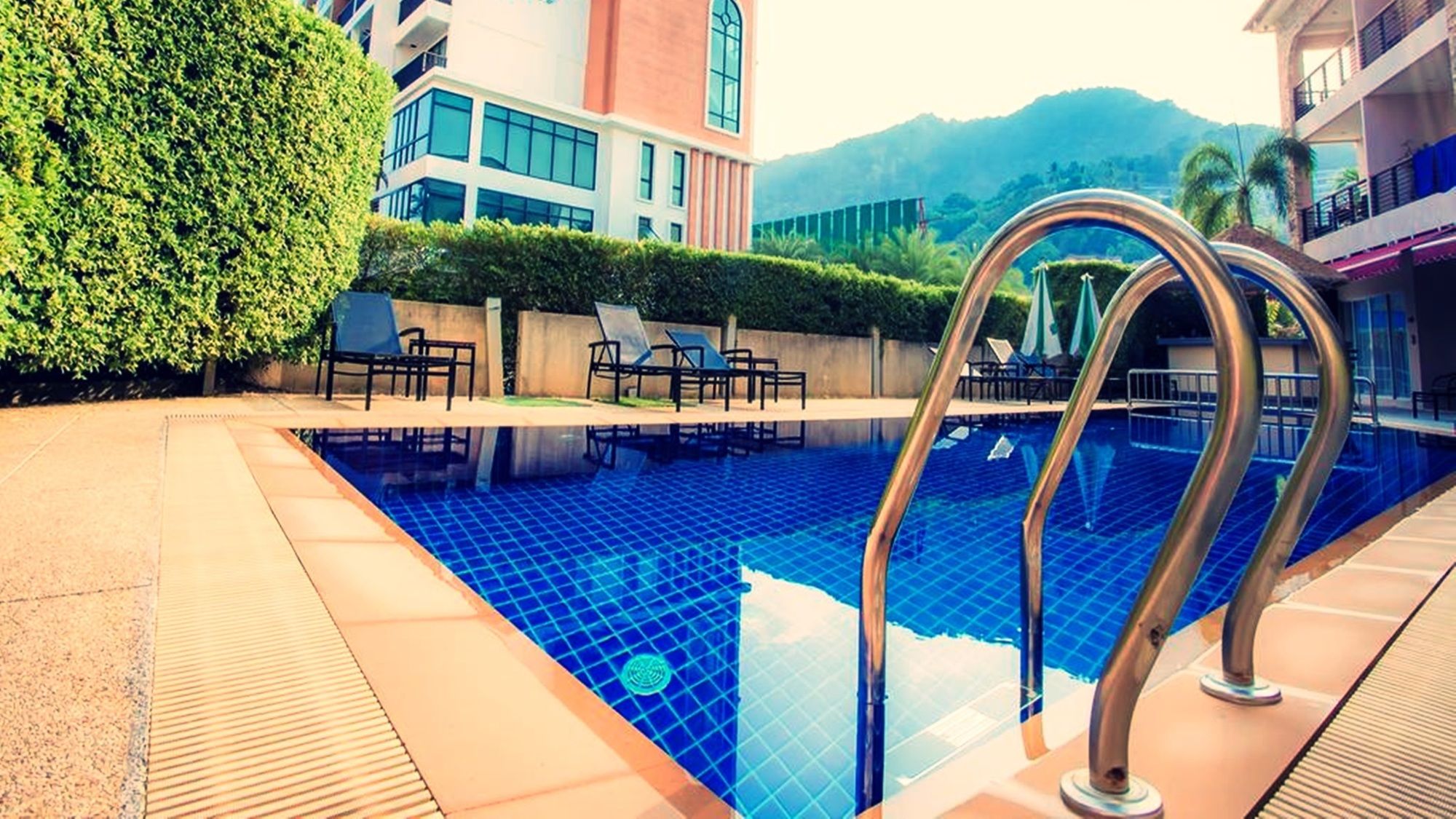 Фото The Orchid House