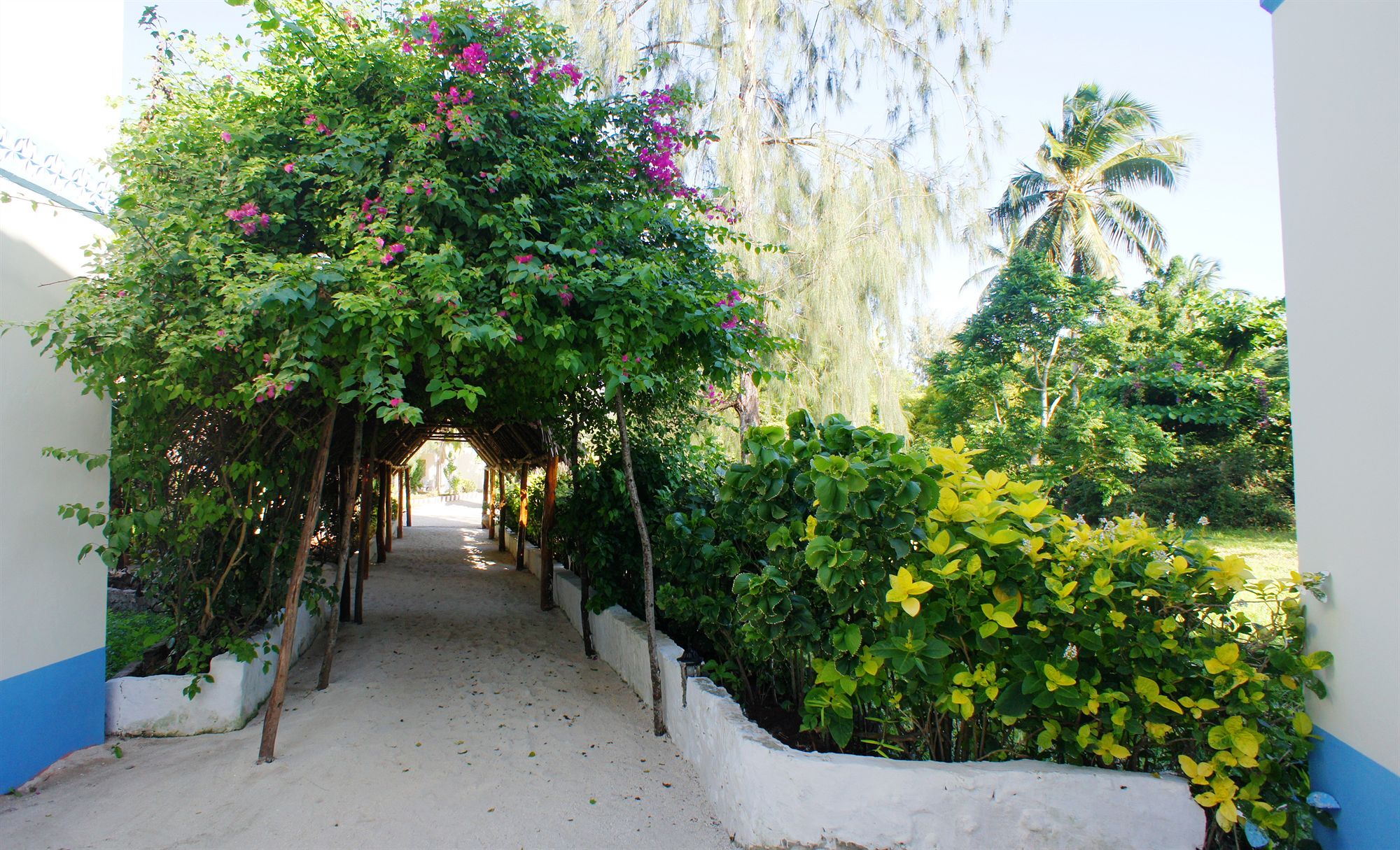 Фото Smiles Beach Hotel