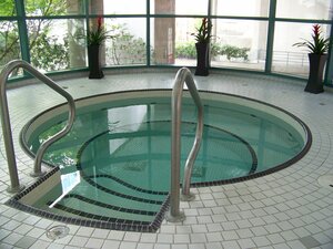 Гостиница Rosedale on Robson Suite Hotel