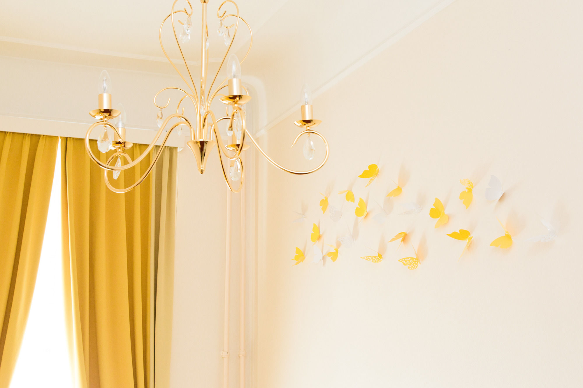 Фото Odeon Hotel