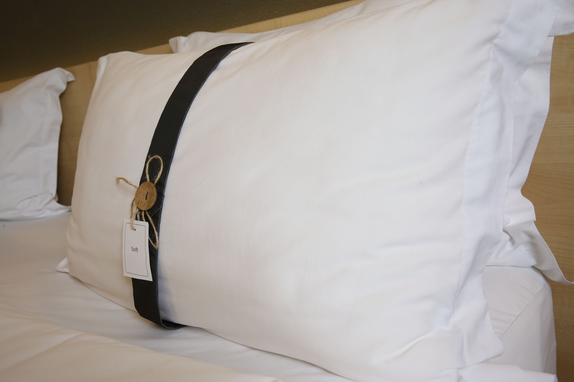 Фото Futuro Hotel